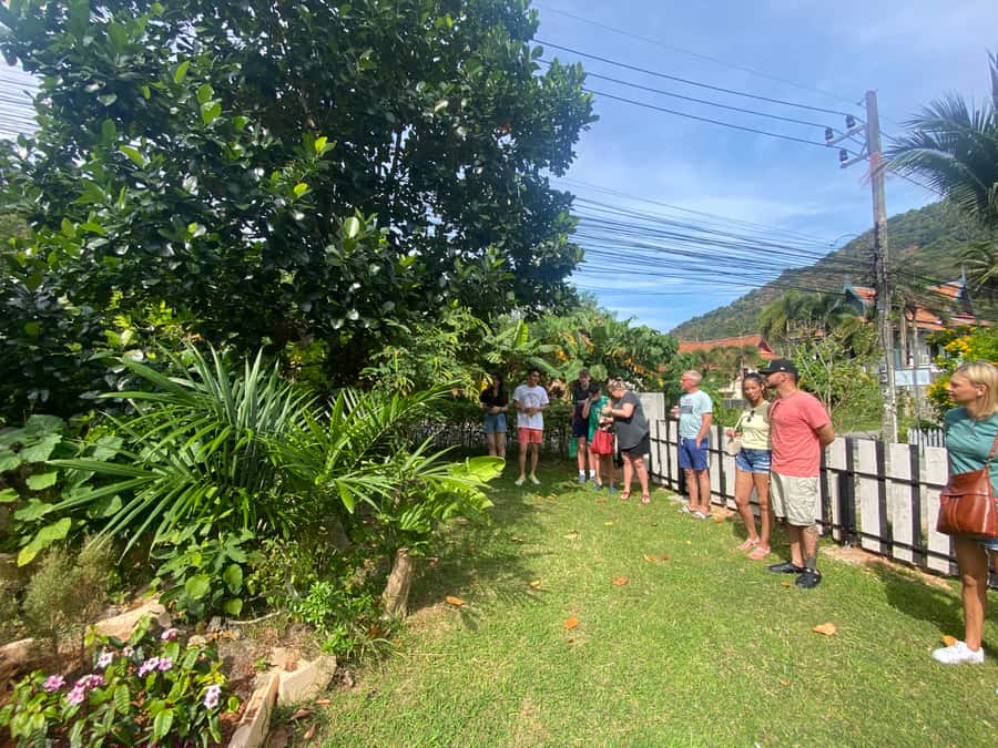 Thai Cooking Class with Market & Garden Tour - What you eat, what you take home, and how much food is real
