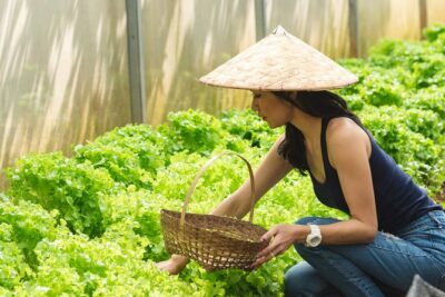The Namkhan - Cooking Class - Getting your hands dirty: cleaning, prepping, and learning the basics