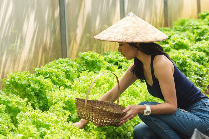 The Namkhan - Cooking Class - Getting your hands dirty: cleaning, prepping, and learning the basics