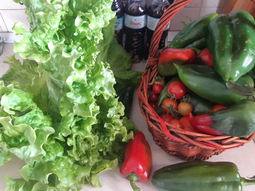 Thessaloniki: Private Greek Cooking Class and Meal at a Farm - Price and value: is $169 per person fair?