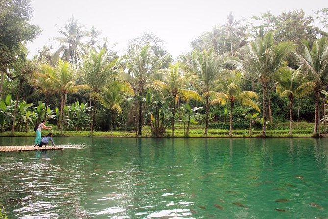 Traditional Balinese Cooking Class with Ubud Tour - Who this tour is best for (and when to skip it)