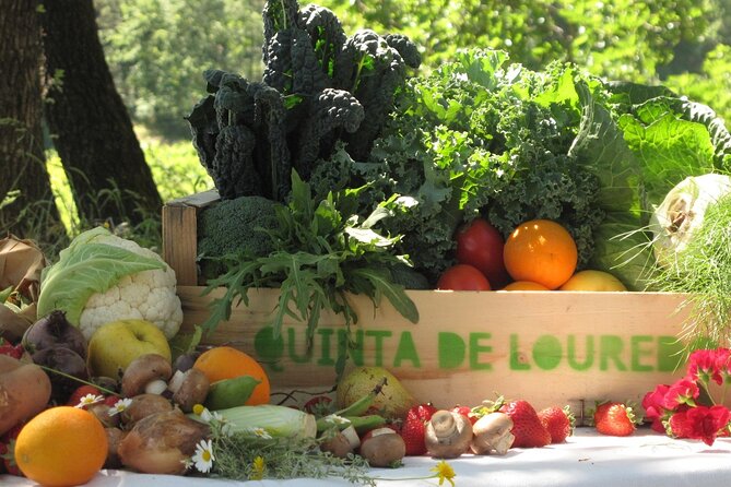 Traditional Cooking Class, Farm Tour & Lunch in the Douro Valley - Key points you’ll care about