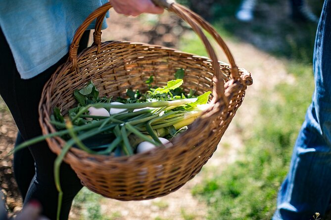 Traditional Cooking Class in Dubrovnik Countryside - The Cook-Along in the Kitchen: What You Actually Do