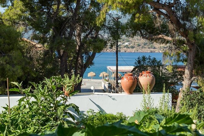 Traditional Greek Cooking Class and Organic Lunch on Poros - How the class actually feels: taught steps, hands-on time, family rhythm