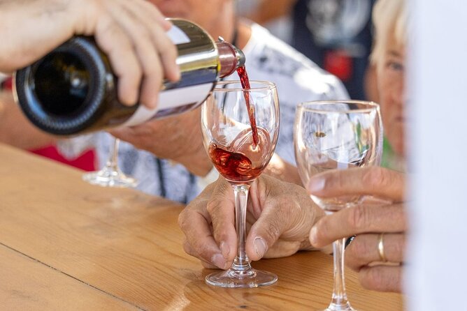 Traditional Greek COOKING class and Wine Tasting in Rhodes - Who This Tour Fits Best (And Who Might Want Something Else)