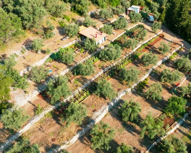 Traditional Greek Cooking Class @ Lefkada Micro Farm - Who should book this class, and who might not