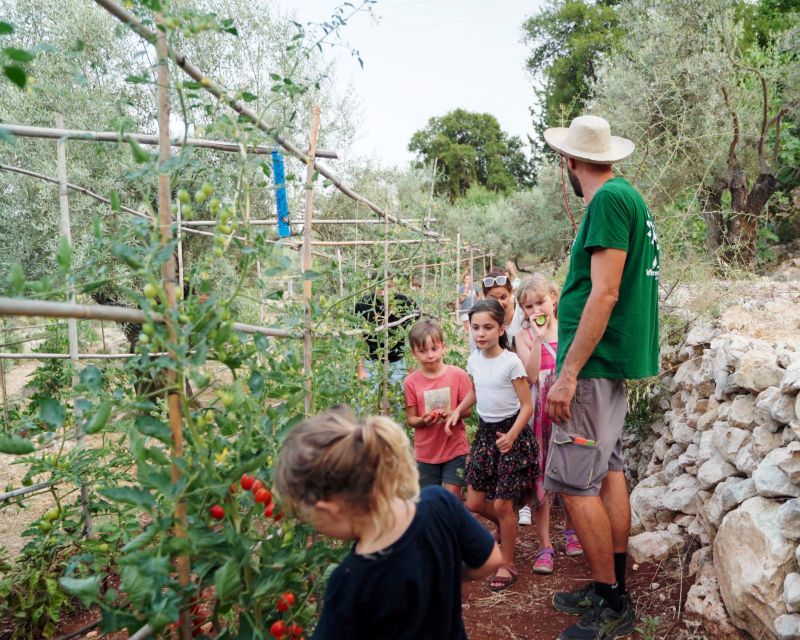 Traditional Greek Cooking Class @ Lefkada Micro Farm - Small group energy: what it feels like with up to 10 people