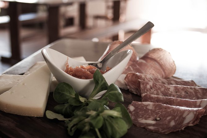 Truffle Hunting and Cooking Class - A Truffle Hunt and Lunch Views Over San Gimignano