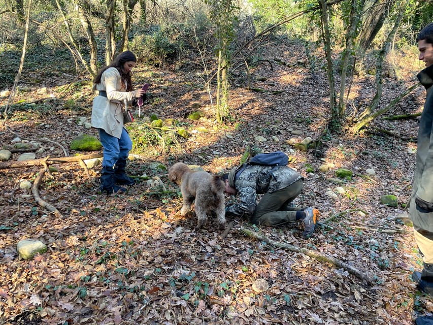 Truffle hunting in Chianti with pasta cooking class & lunch - Key things I’d plan around