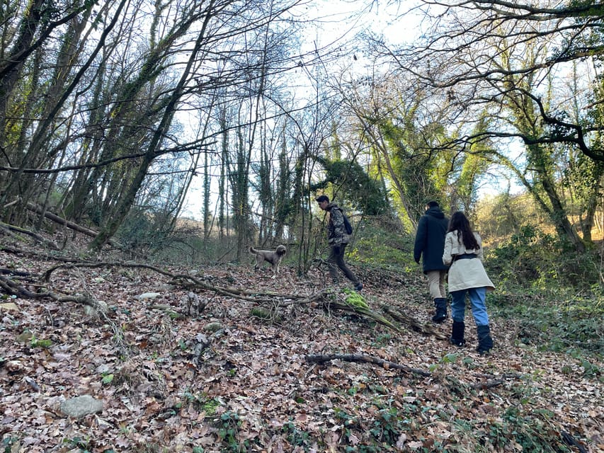 Truffle hunting in Chianti with pasta cooking class & lunch - Truffle hunting in Chianti Classico, minus the tourist fog