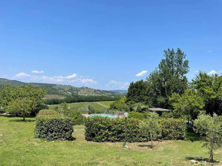 Truffle hunting in Chianti with pasta cooking class & lunch - One hour in the forest with the truffle hunter and his Lagotto