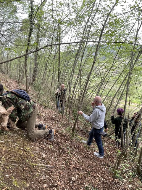 Truffle hunting in Chianti with pasta cooking class & lunch - Who this Chianti experience suits best (and who should think twice)