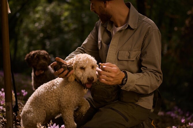 Truffle Hunting, Lunch & Cooking Class in Rome's Countryside - Truffle hunting in Riano: the setting that makes it feel real