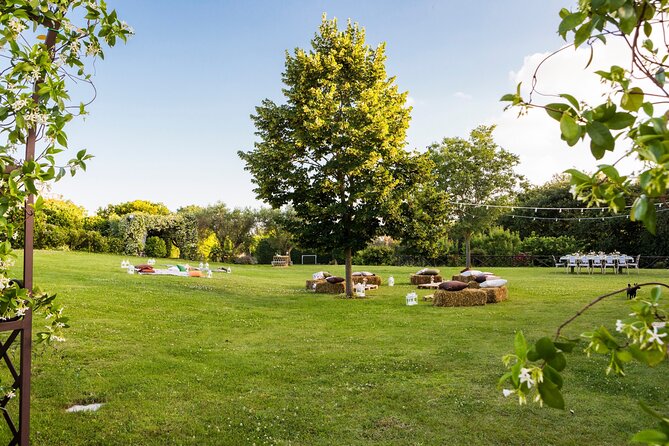 Truffle Hunting, Lunch & Cooking Class in Rome's Countryside - From forest to estate: the 4-course truffle lunch