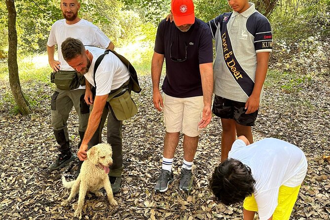 Truffle Hunting, Lunch & Cooking Class in Rome's Countryside - Pasta and tiramisù cooking class: learning with truffles as your ingredient
