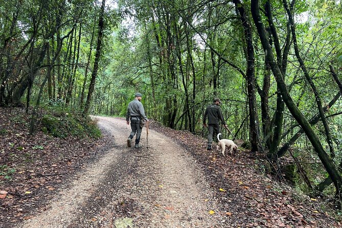 Truffle Hunting, Lunch & Cooking Class in Rome's Countryside - Price and value: what you’re paying for at $540.11