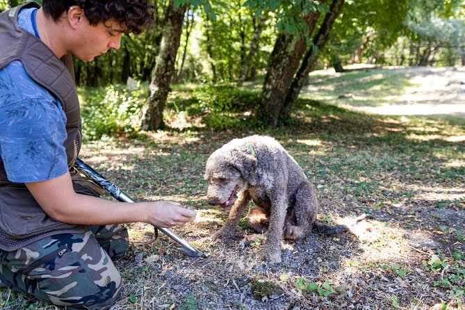 Truffle Hunting & Truffle Cooking Class - Podere La Marronaia: Where the Day Starts in the Tuscan Hills