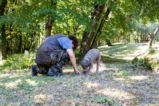 Truffle Hunting & Truffle Cooking Class - The 4-Course Dinner: Where Truffles, Wine, and Tuscan Comfort Meet