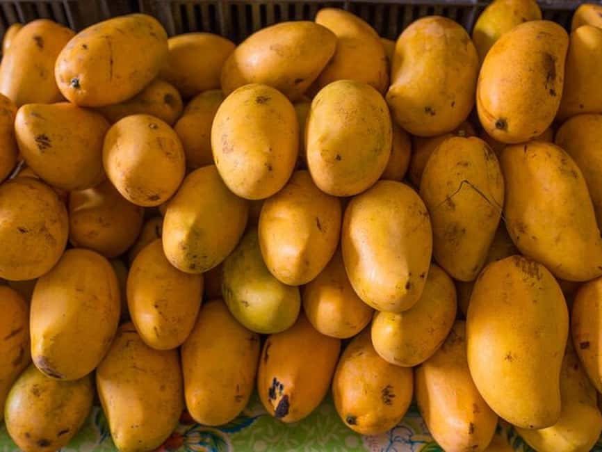 Tulum: Mexican Cooking Class in Local Home - Should you book it? My practical take
