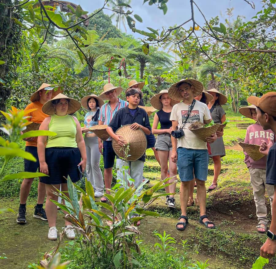 Ubud: Organic Farm Harvest, Bali Cooking Class by Pemulan - Morning Market Tour: See How Balinese People Shop