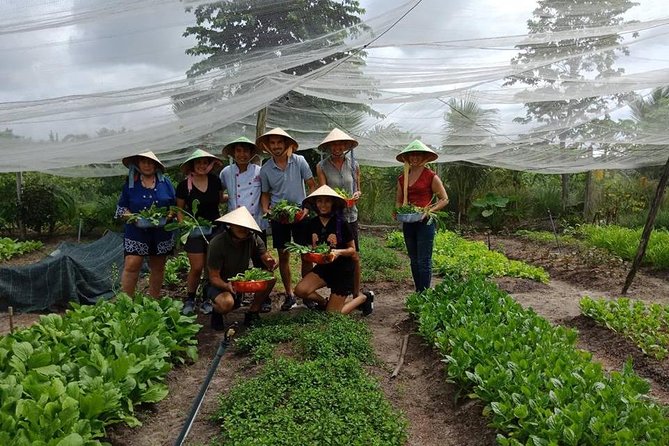 Unique farm to Table cooking class in Saigon - Pickup, Timing, and What to Expect From the Ride Out