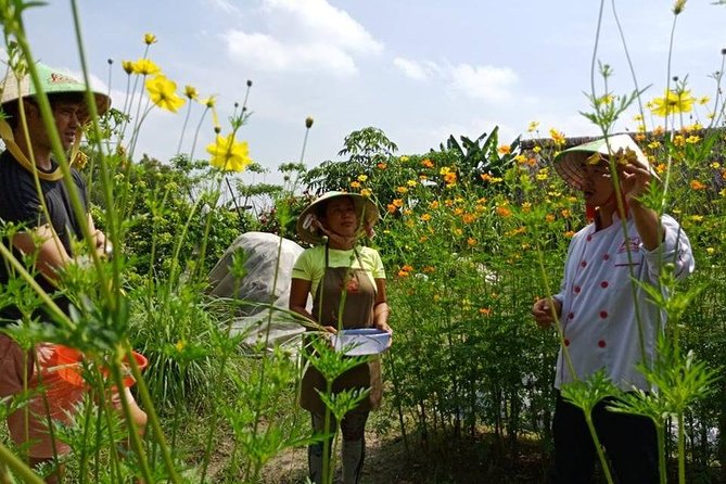 Unique farm to Table cooking class in Saigon - Price and Value: What $67 Buys You in Saigon