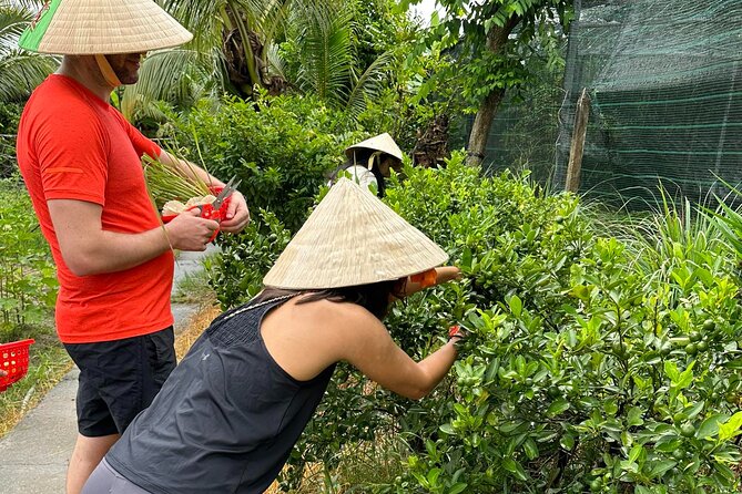 Unique Farm to Table Cooking Class with Top Chef in Vietnam - Who this experience suits best in Ho Chi Minh City