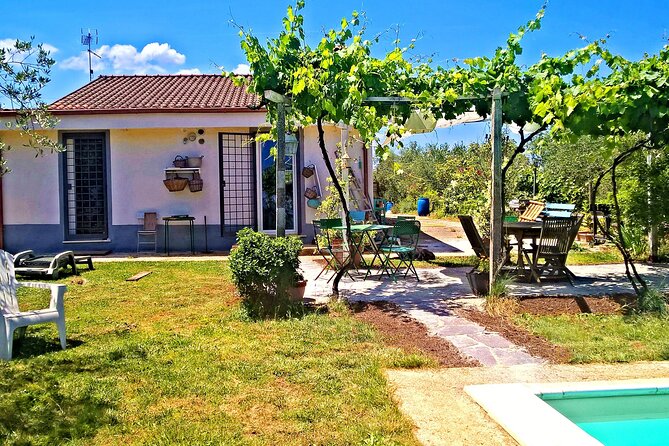 Vegetarian Cooking class in the Roman countryside - Practicalities for planning your day