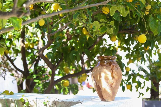 Viator Exclusive: Local Cooking Class & Dinner with View of Nice - Drinks With Dinner: What’s Included and What to Expect