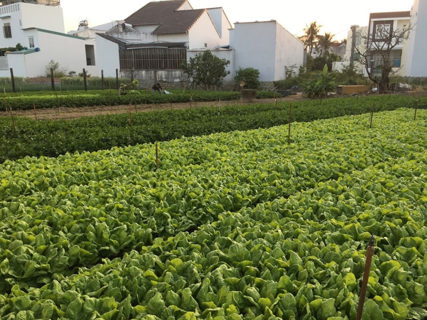 Viet Garden Cooking Class (Countryside and Market tour) - Coffee Culture on the Road: Weasel Coffee and Condensed Milk