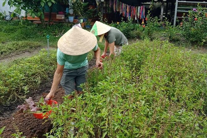 Vietnamese Cooking Class and Cu Chi Tunnels Tour from Ho Chi Minh City - Pricing and value: is $81 fair for a full day?