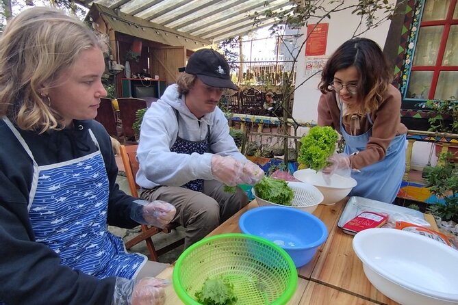 Vietnamese Spring Rolls Cooking Class - Your morning or afternoon start at Saigonese Trekking House
