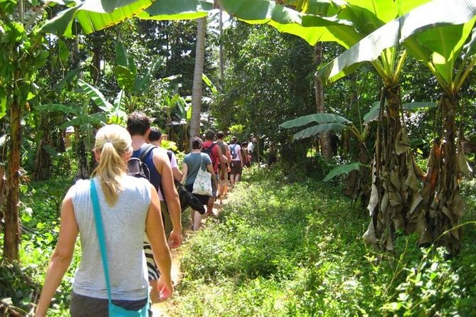Zanzibar Cooking Class & Spice Tour - Zanzibar Cooking Class & Spice Tour: more than a food stop