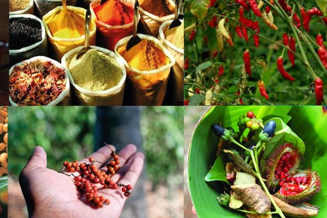 Zanzibar Cooking Class & Spice Tour - Darajani Market: learning flavors by buying them