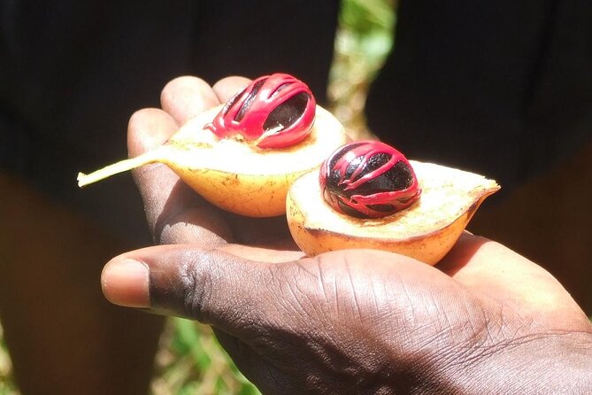 Zanzibar Cooking Class [Swahili food test ] and Spice farm Private tour - What to bring and how to tip on a Zanzibar spice day