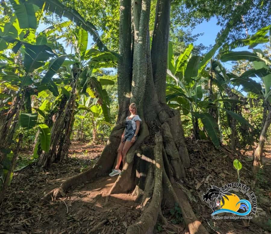 Zanzibar: Spice Farm Tour and Cooking Class with Lunch - Spice Shopping: How to Get Better Value Without Overpaying