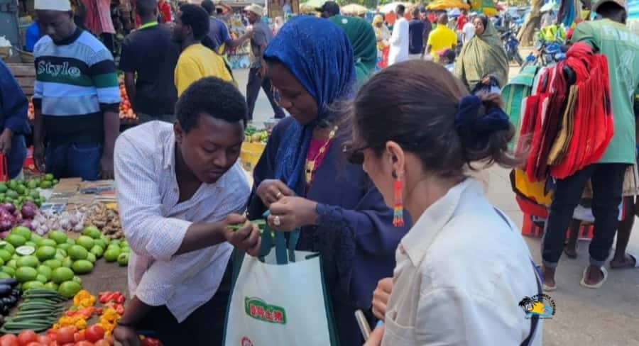 Zanzibar: Spice Farm Tour with Cooking lesson - Price and Value: What $66 Covers in 5 Hours