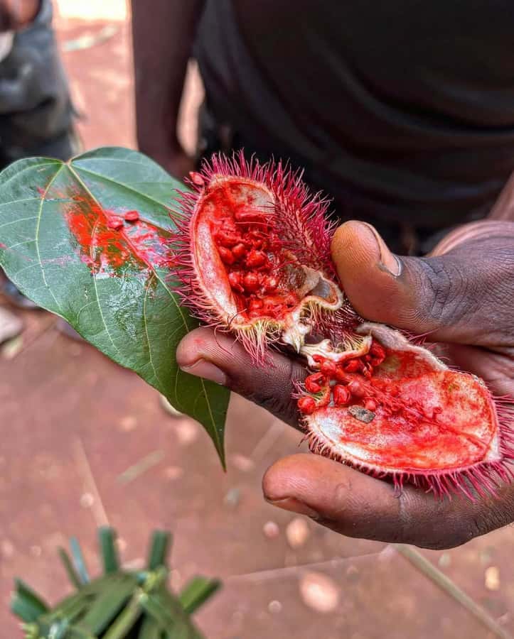 Zanzibar Spice Tour &Cooking Class with Lunch Pickup Include - Key things to know before you go