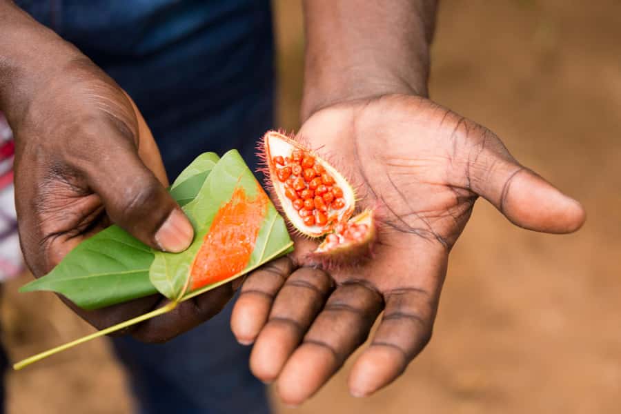 Zanzibar Spice Tour &Cooking Class with Lunch Pickup Include - Harvesting Ingredients: Turning a Tour into a Cooking Class